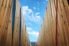 59ED0420-01DF-49DC-968D-D30961F5E857-Copy