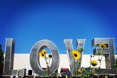 88C8538F-84BD-4EF2-8836-23A480A0BE3F-Copy